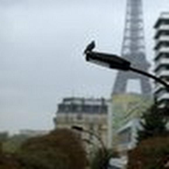 Meet your Posher, Daeja - Picture 1 of 1